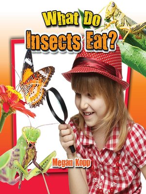cover image of What Do Insects Eat?
